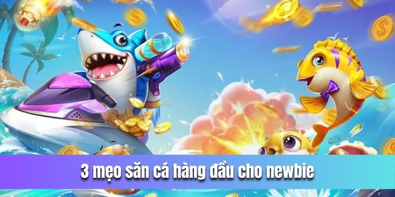 3 mẹo săn cá hàng đầu cho newbie